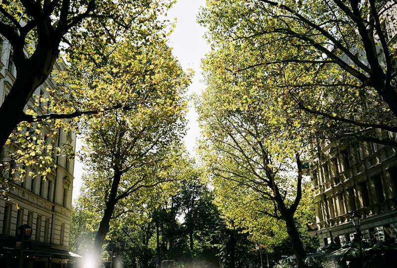 Husemann Strasse in Prenzlauer Berg Berlin